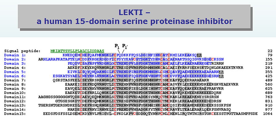 lekti